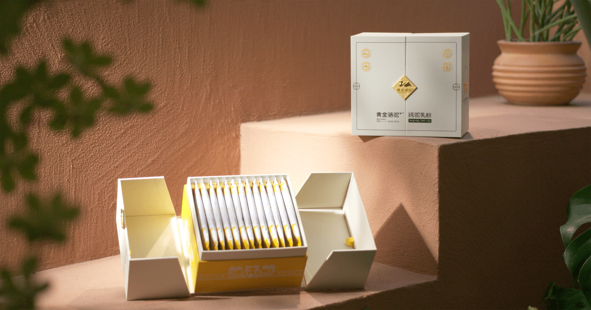 定位小众高端乳粉，尊时凯龙推出驼奶品牌“黄金骆驼+”，角逐乳品新市场！